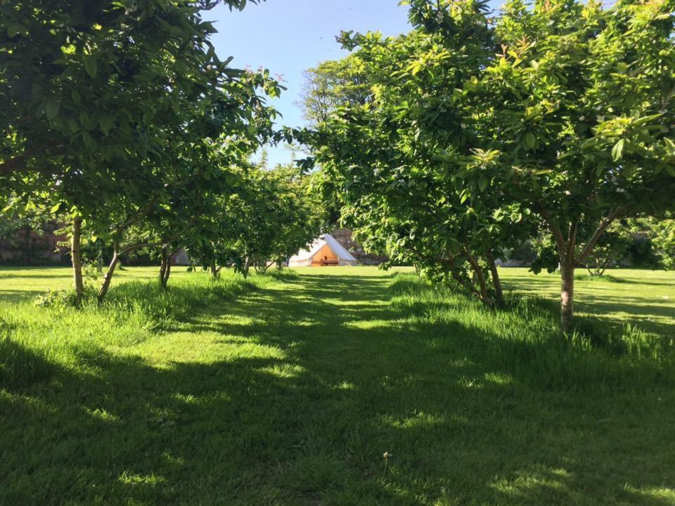 מלון פנזאנס Trereife House מראה חיצוני תמונה